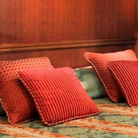 酒店 总统酒店 维亚雷焦