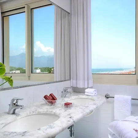 总统酒店 4* 维亚雷焦