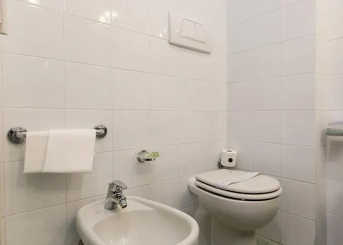 总统酒店 酒店 维亚雷焦