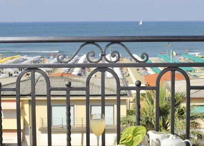 酒店 总统酒店 维亚雷焦